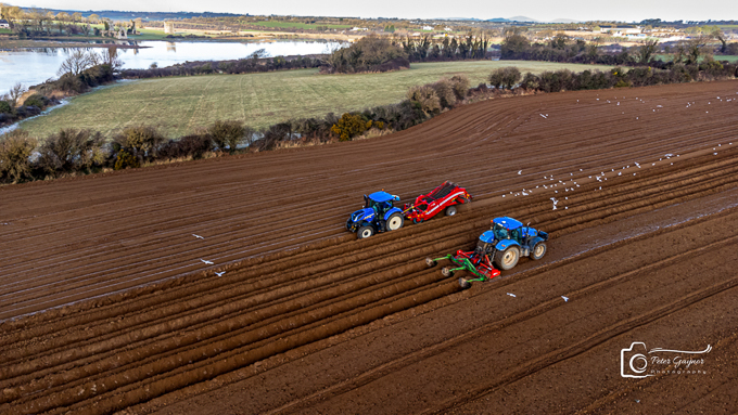 20240119-DJI_0448